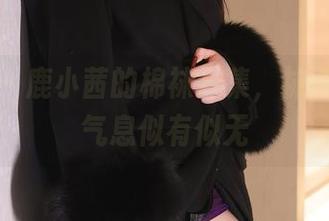秀人网 - 鹿小茜的棉袜合集，袜子和她的气息似有似无